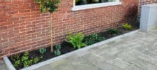 Meer groen in de straat met een geveltuintje